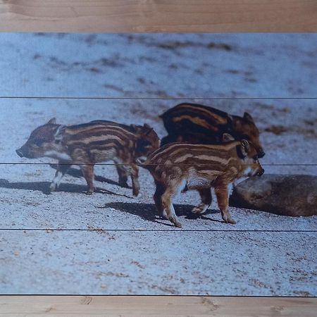 'T Zwientje Ermelo Dış mekan fotoğraf