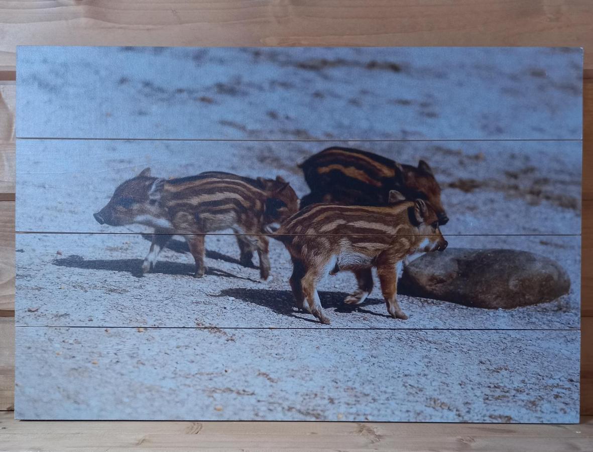 'T Zwientje Ermelo Dış mekan fotoğraf